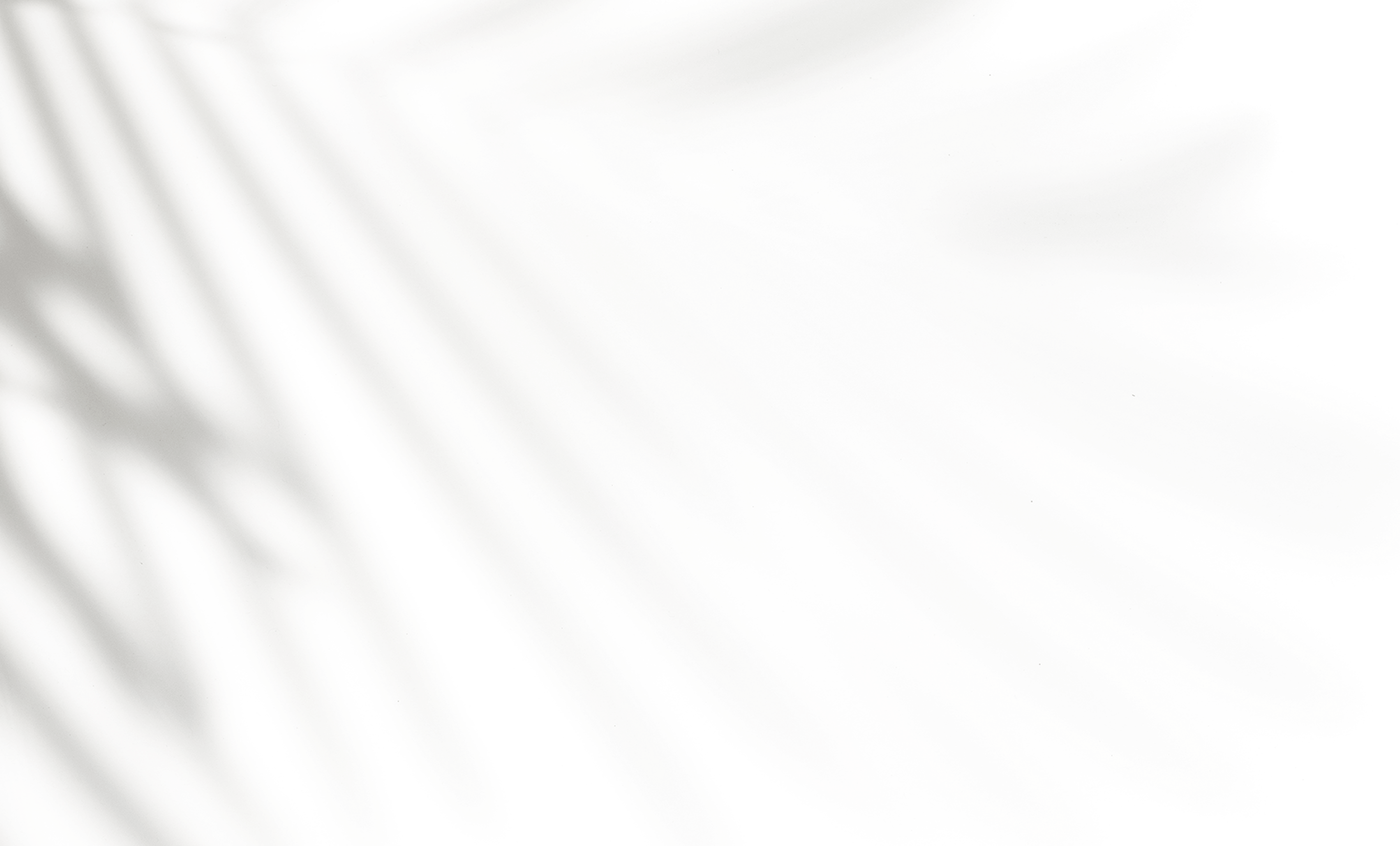 Shadow
